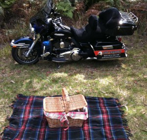 picnic basket and harleys. 008